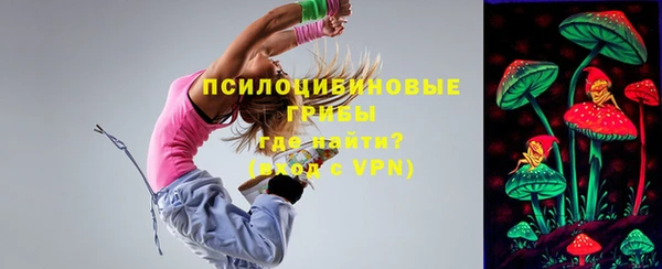 прущий лед Алексин