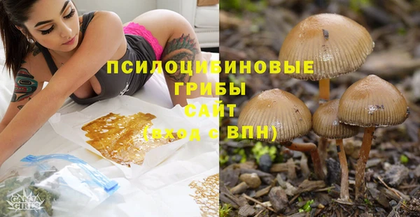 МДПВ Абинск