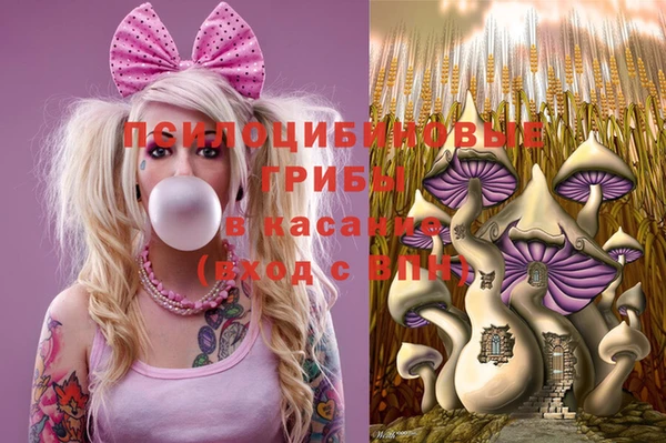 амф Абдулино