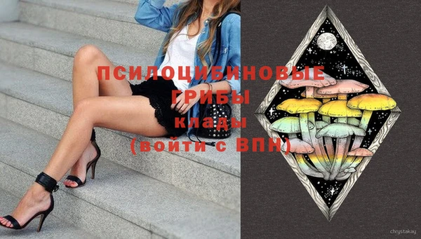 МДПВ Абинск