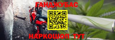 бошки Гагарин