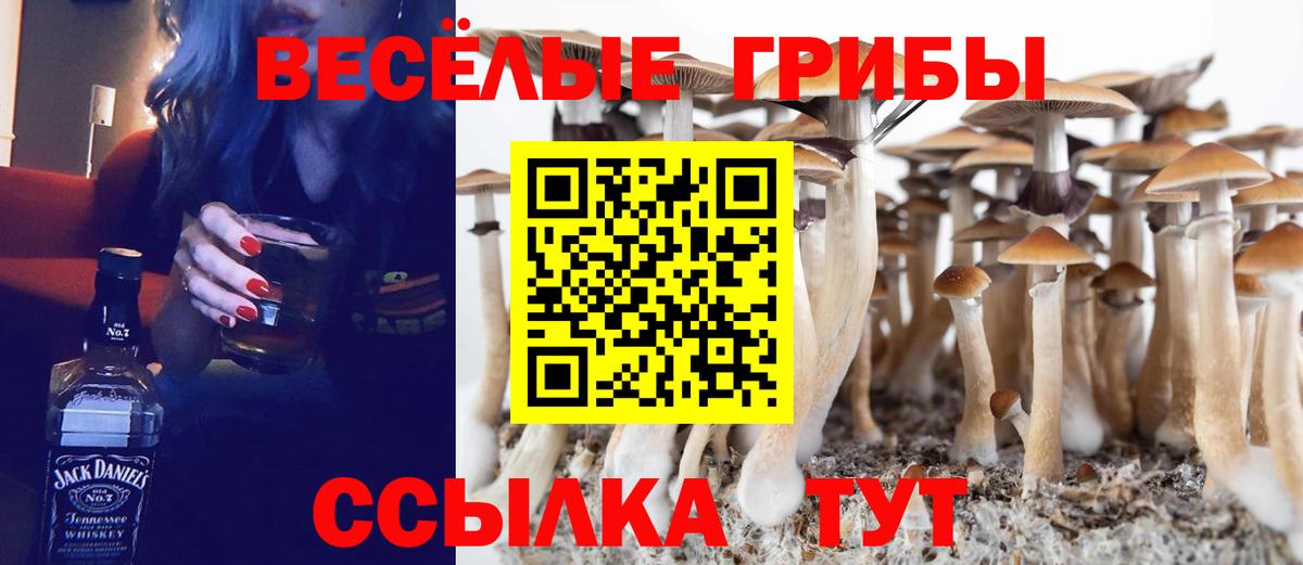 Псилоцибиновые грибы MAGIC MUSHROOMS  Вход с VPN  Псилоцибиновые грибы GOLDEN TEACHER  Серпухов 